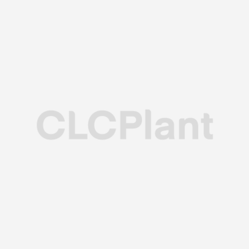 Thiết bị sản xuất gạch block CLC
